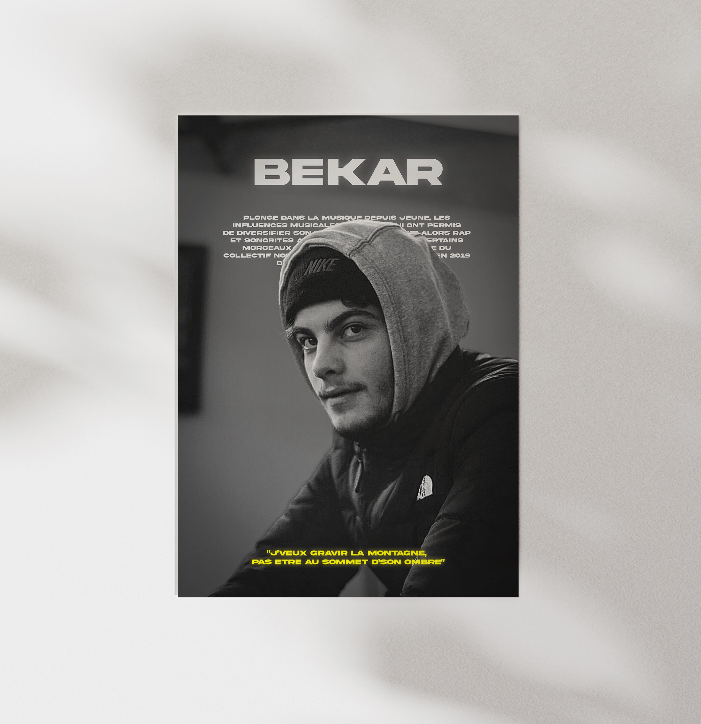 Poster Bekar