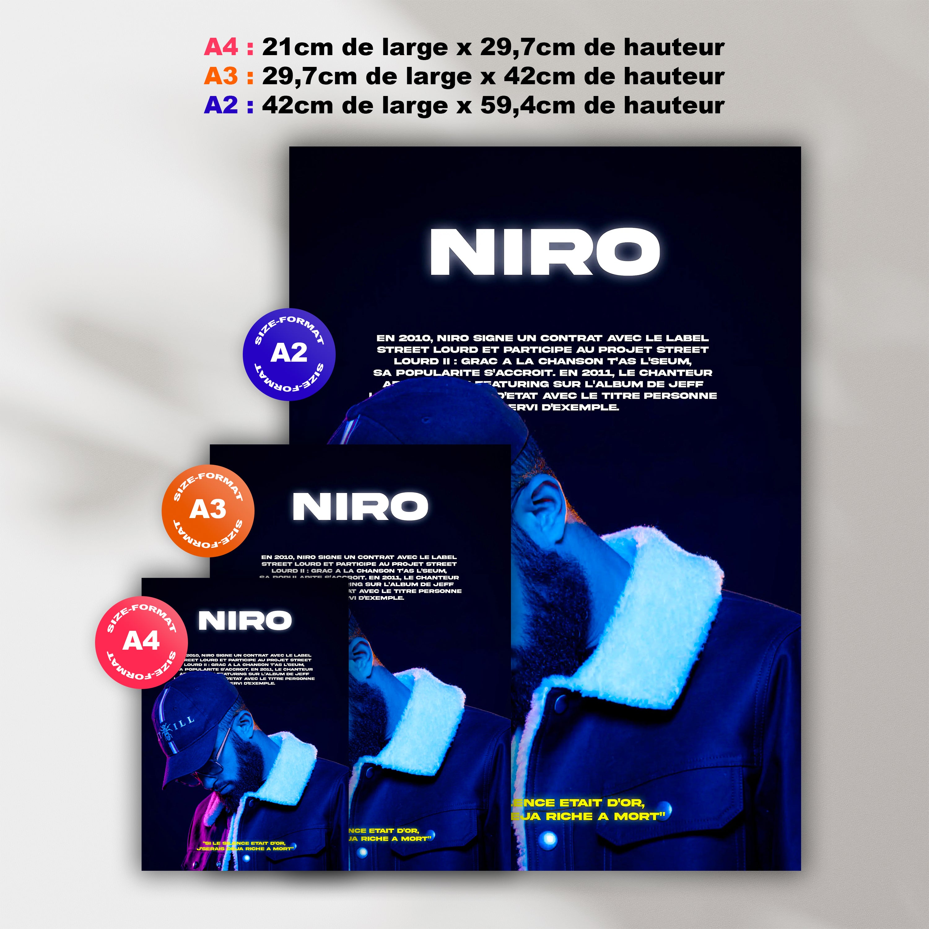 Poster Niro